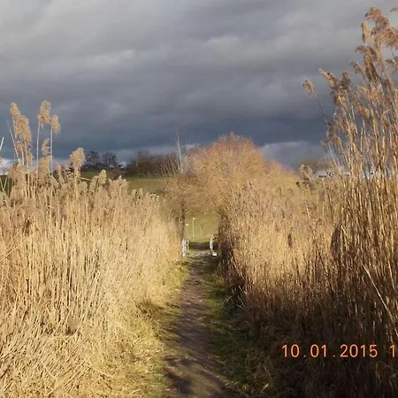 In With Swimming Pool *