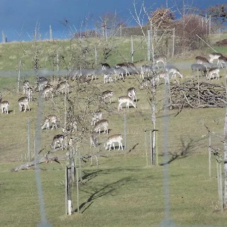 In With Swimming Pool Salem (Baden-Wurttemberg)
